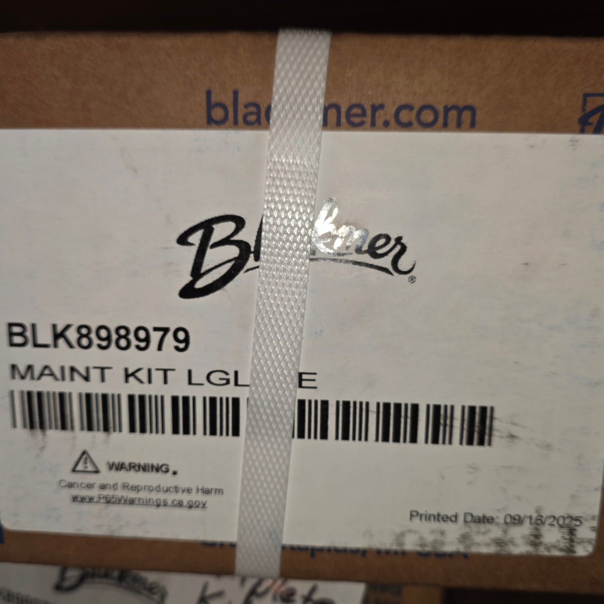 898979 Maintenance Kit by Blackmer for LGLD2E LPG/NH3 pumps