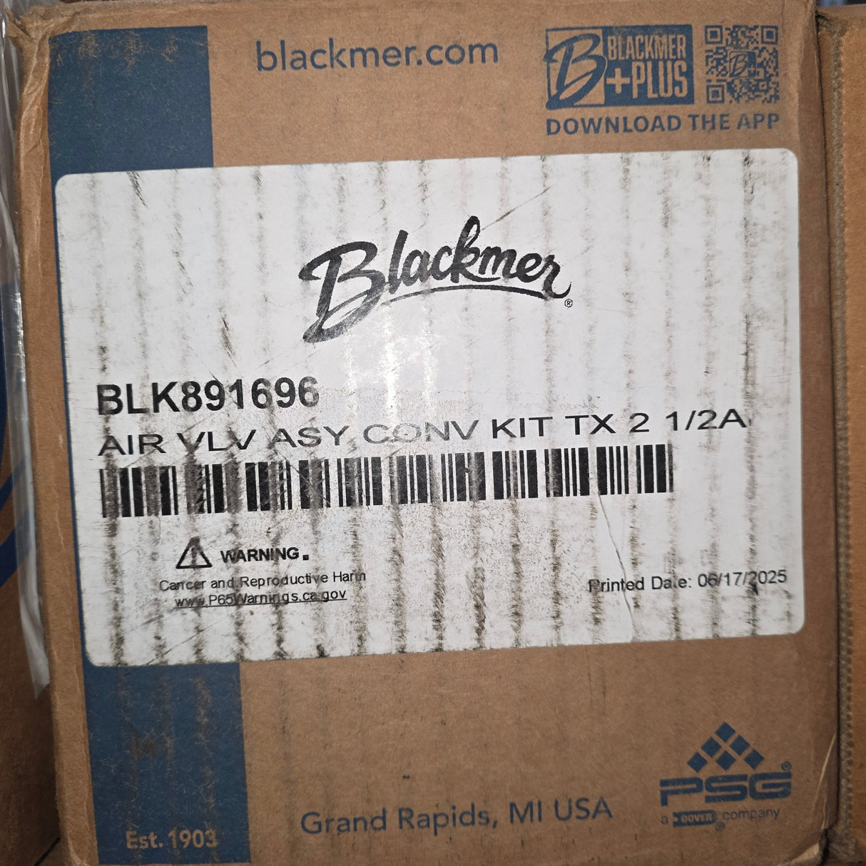 891696 Air Valve Conversion Kit Diaphragm by Blackmer for TXD2.5A Pump