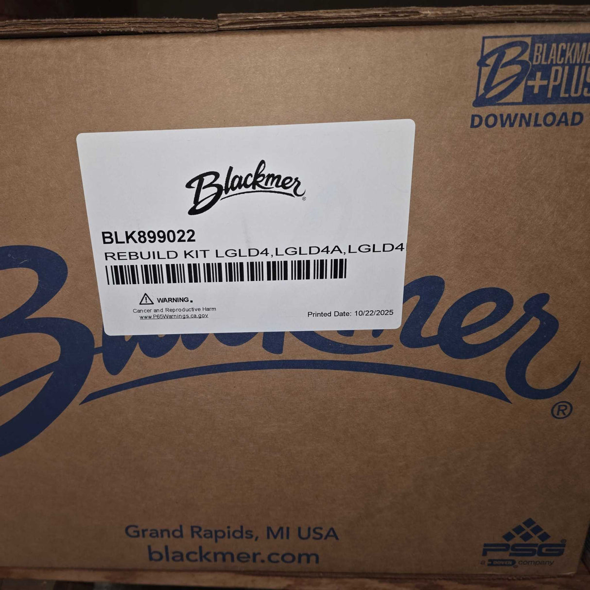 899022 Rebuild Kit by Blackmer for LGLD4 Pumps