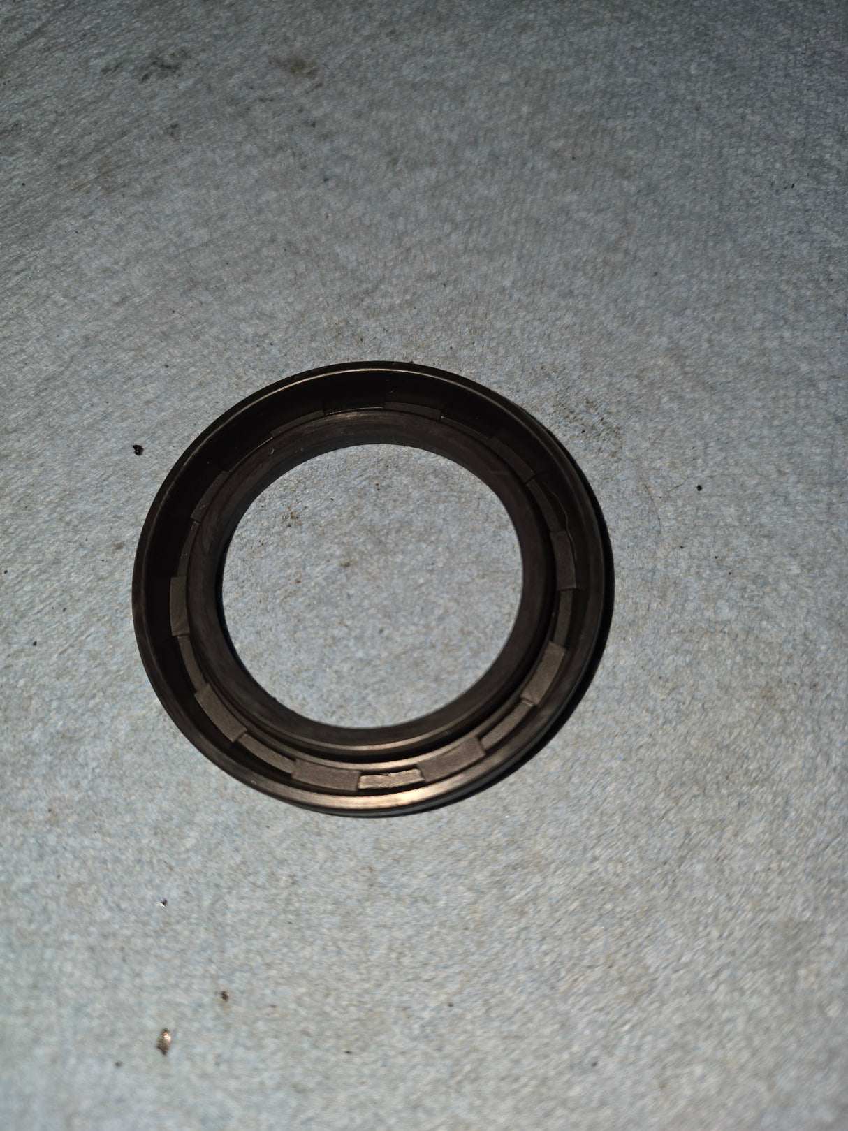331930 Oil Seal by Blackmer
