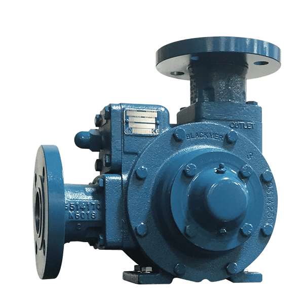 Blackmer GNX Series sliding vane pump with ANSI-style flanges attached