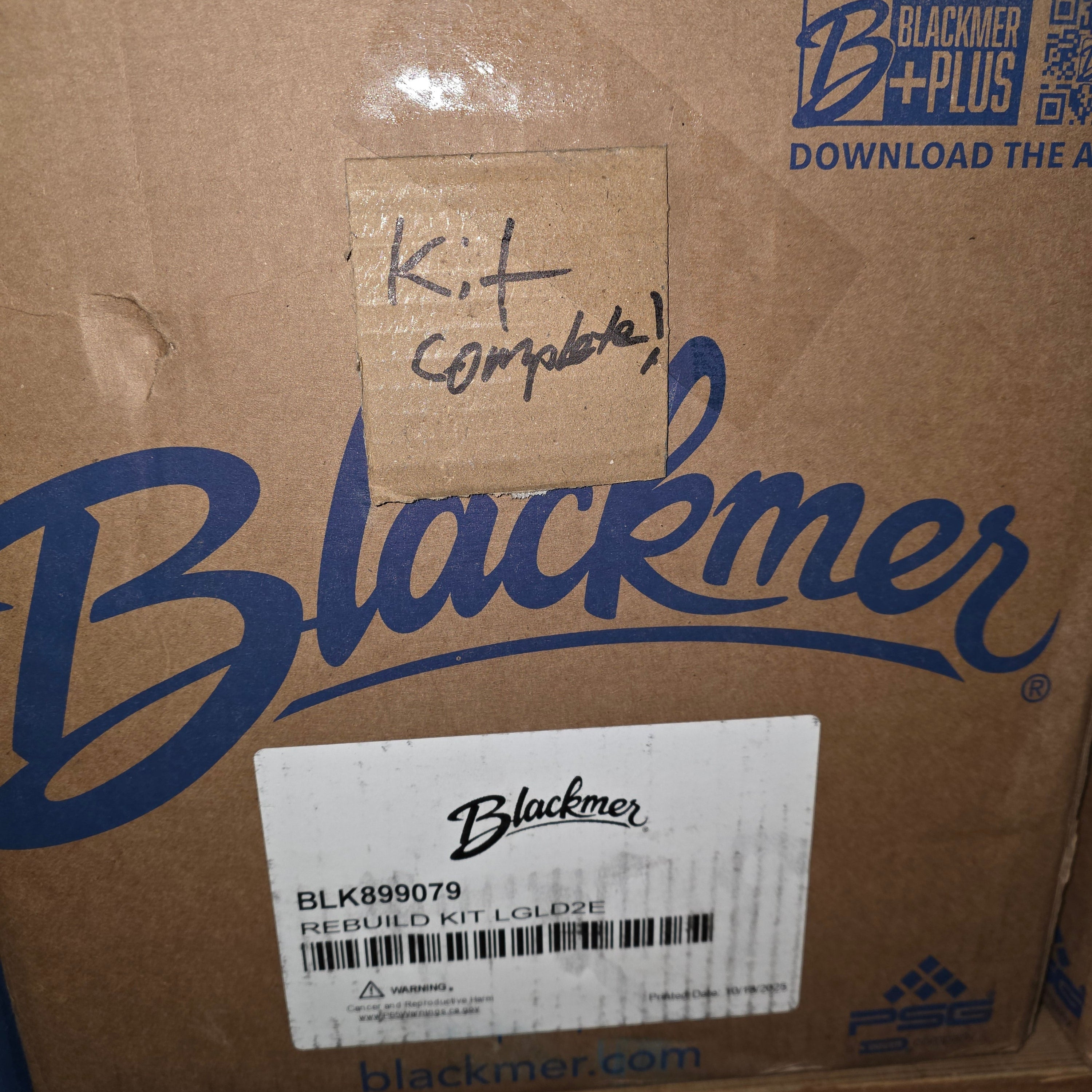 899079 Rebuild Kit by Blackmer for LGLD2E Pump | OEM Pump Repair