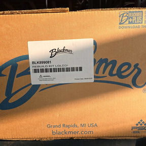 899081 Repair Kit by Blackmer for LGLD3F Pumps