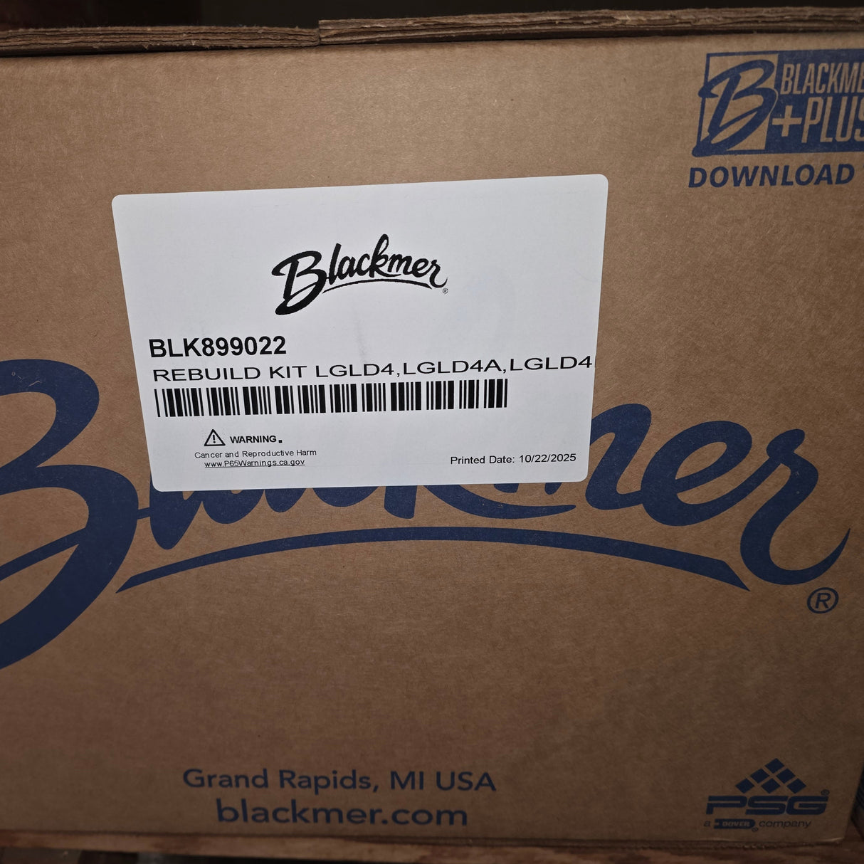 899022 Rebuild Kit by Blackmer for LGLD4 Pumps