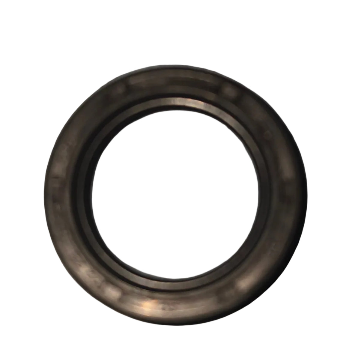 331927 Oil Seal by Blackmer